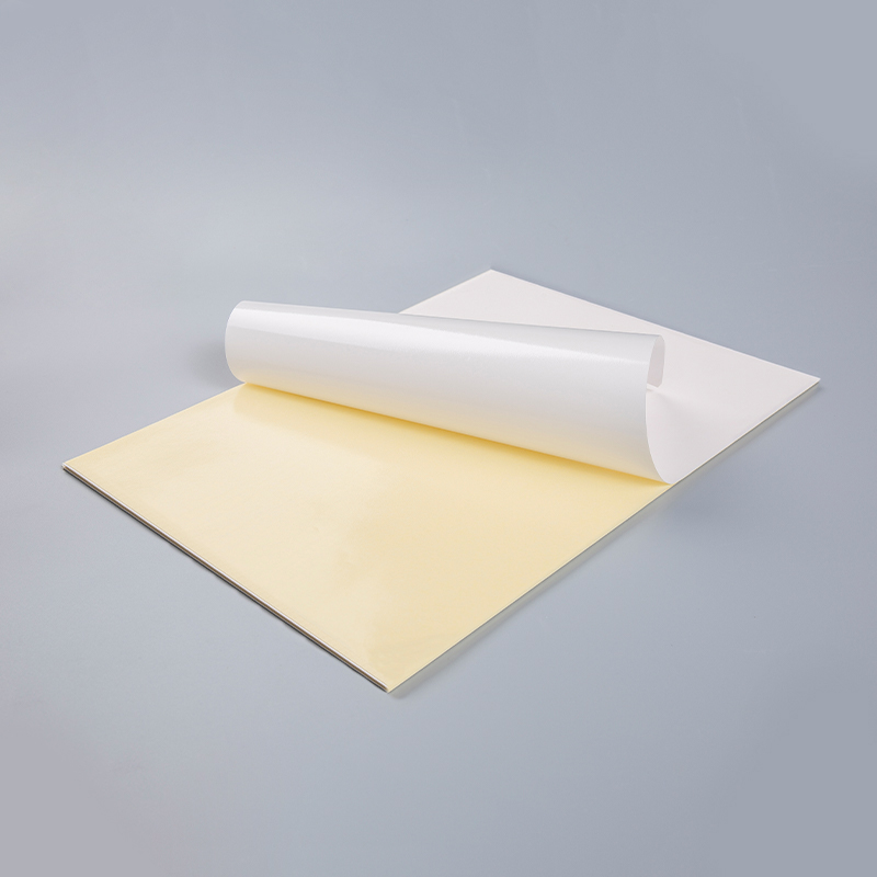 Cast Coated Paper With Yellow Release Liner
